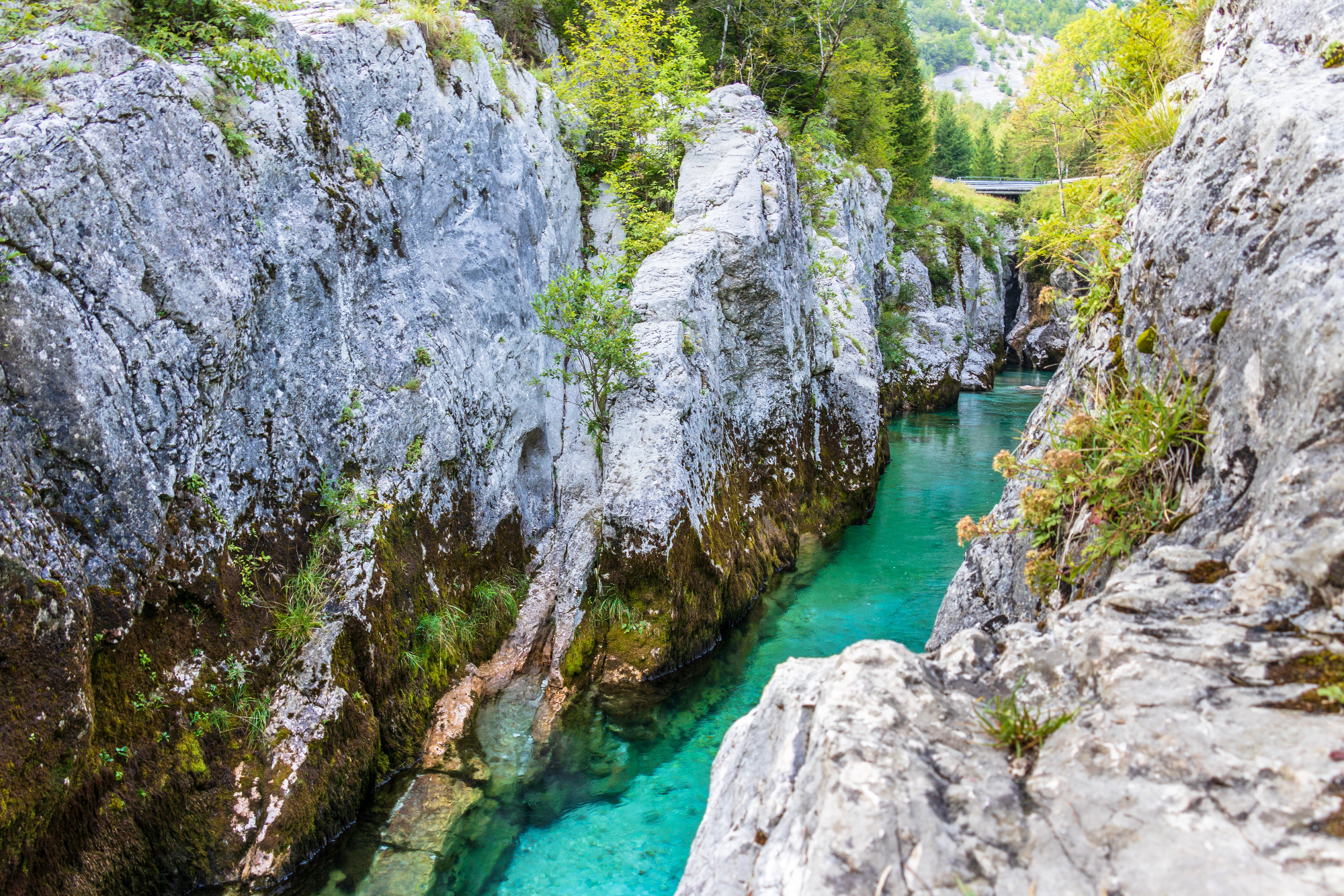Hotel Bovec ni le prenočišče, ampak skupnost.